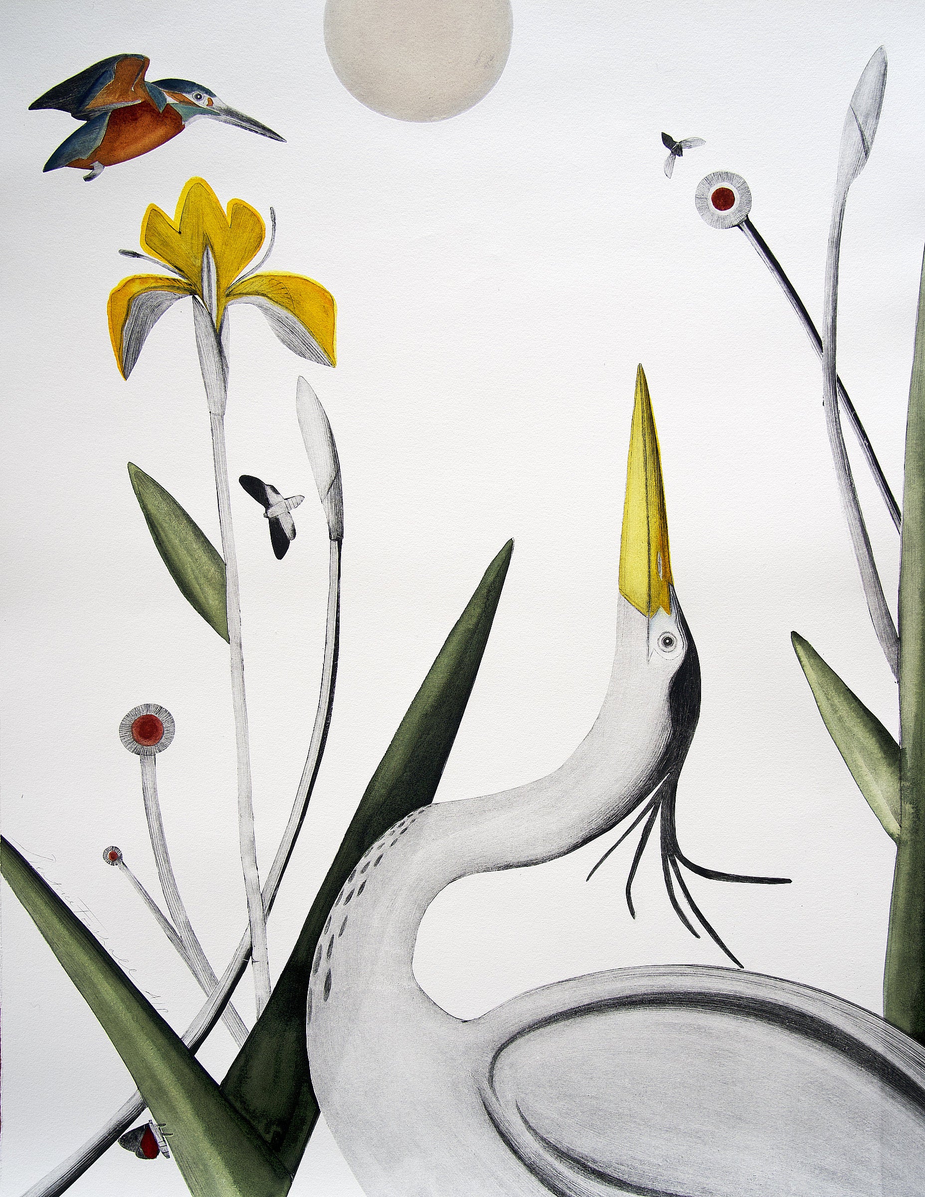 Chalk Stream by Beatrice Forshall