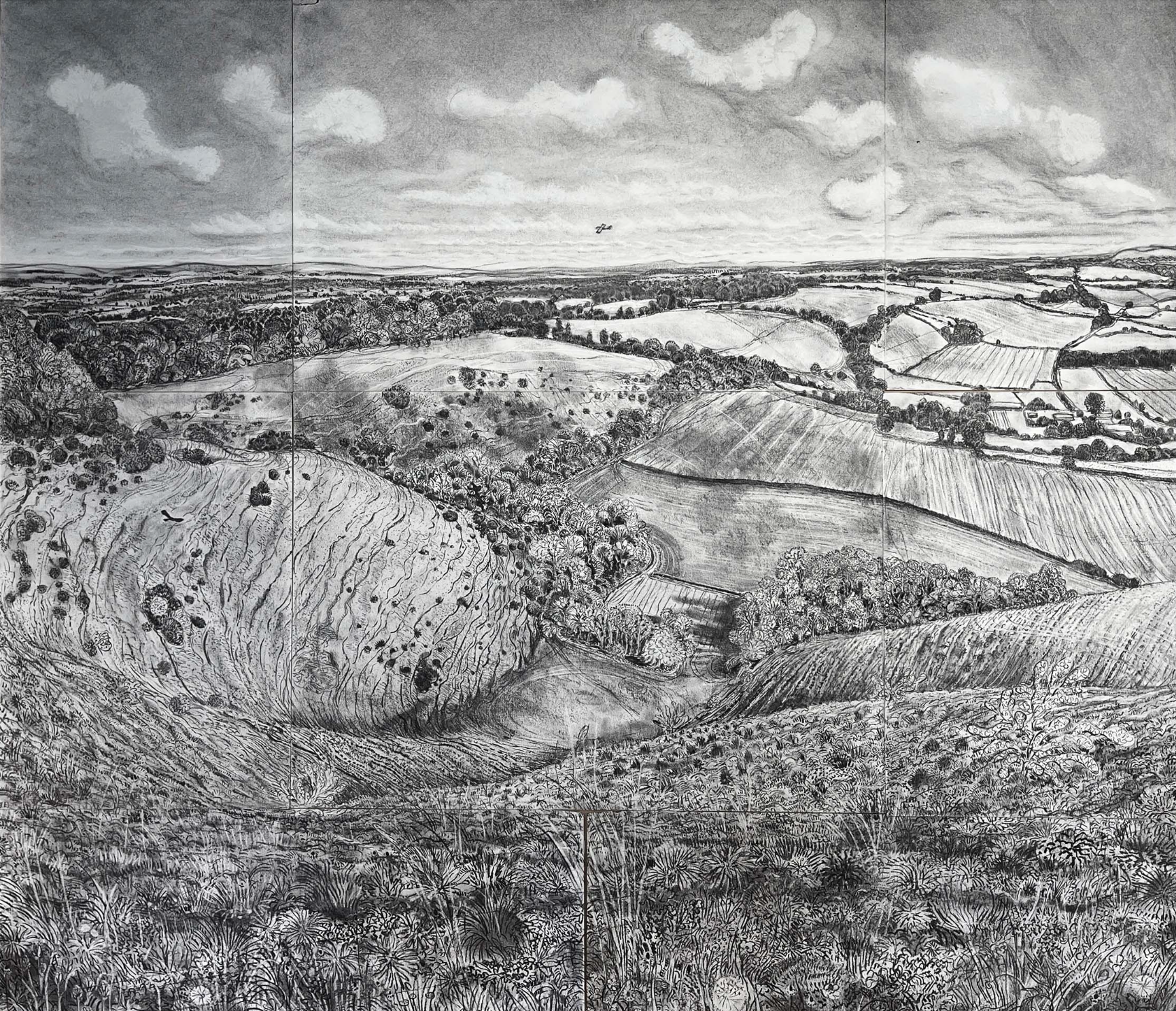 Coombe Land, Martinsell by Rosie MacCurrach