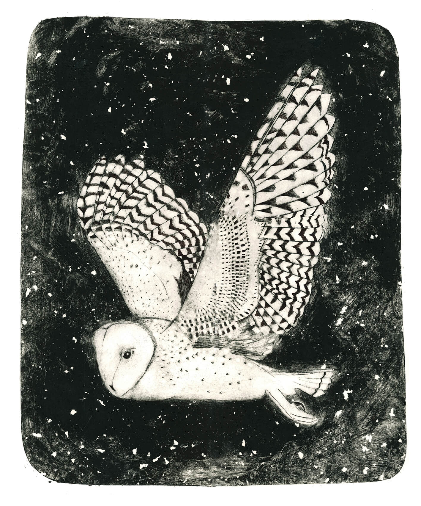 Dame Blanche by Beatrice Forshall