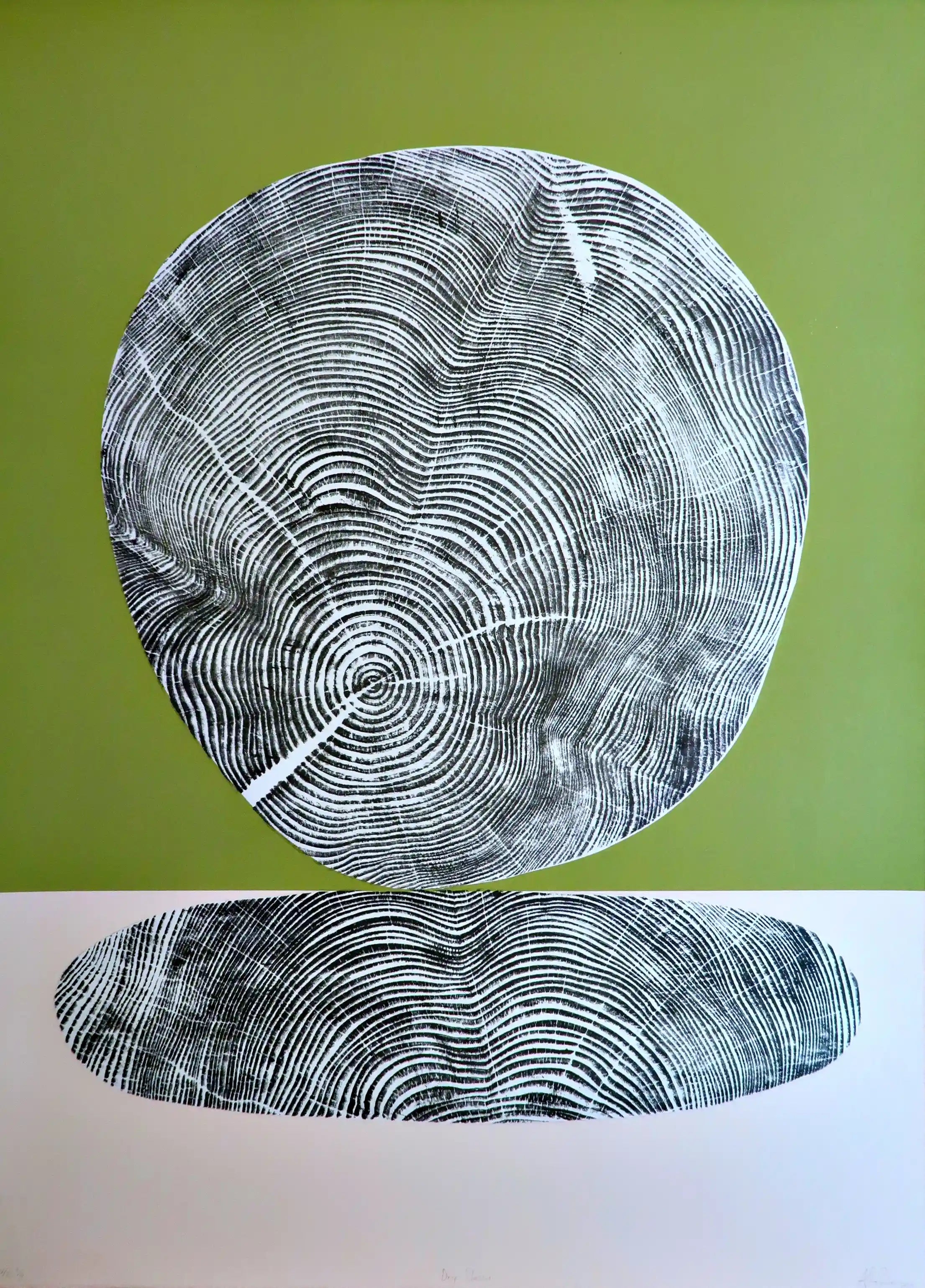 Drop shadow hand-printed woodcut by artist alan cameron