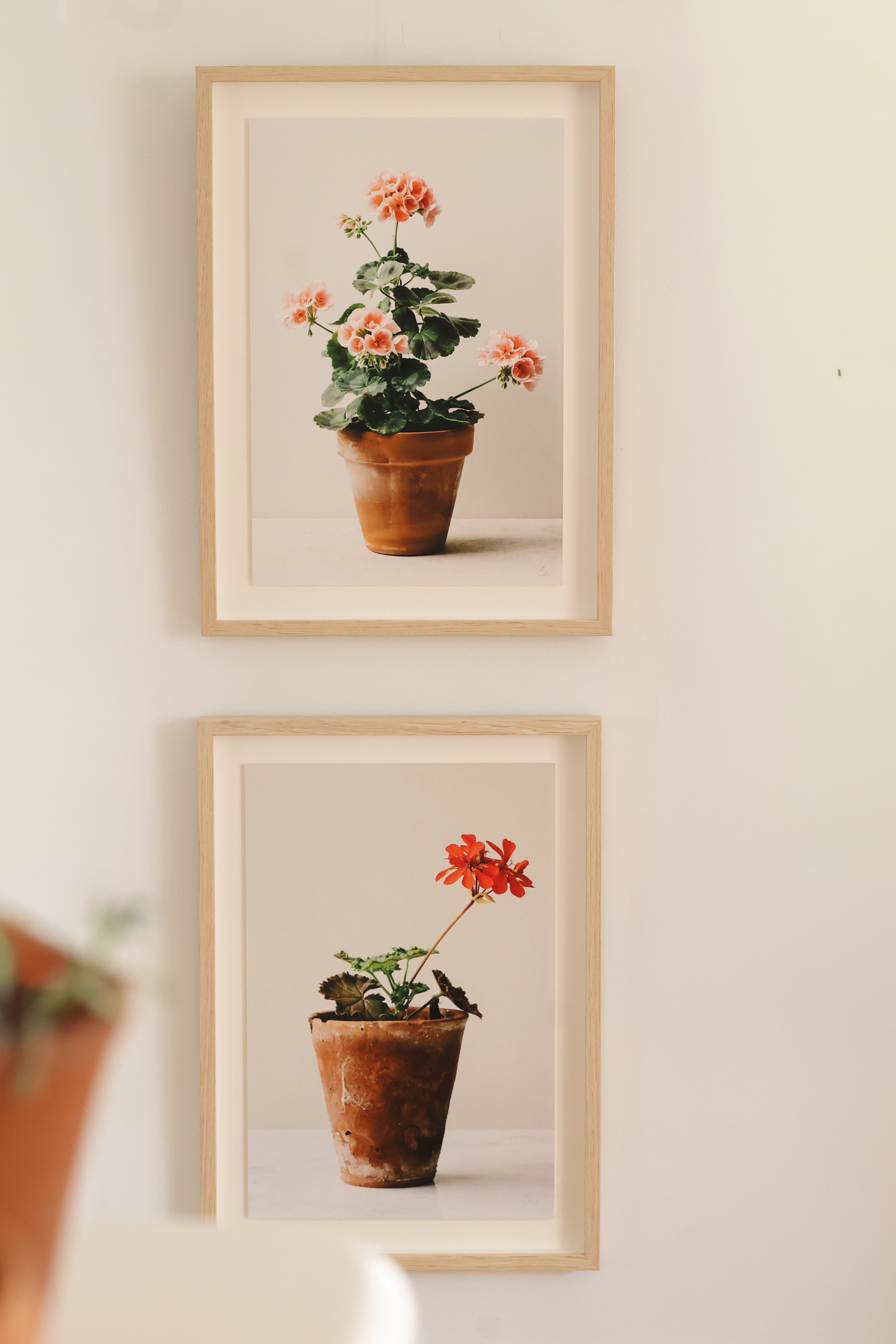 Dusty Pink Pot by Carrie Lees