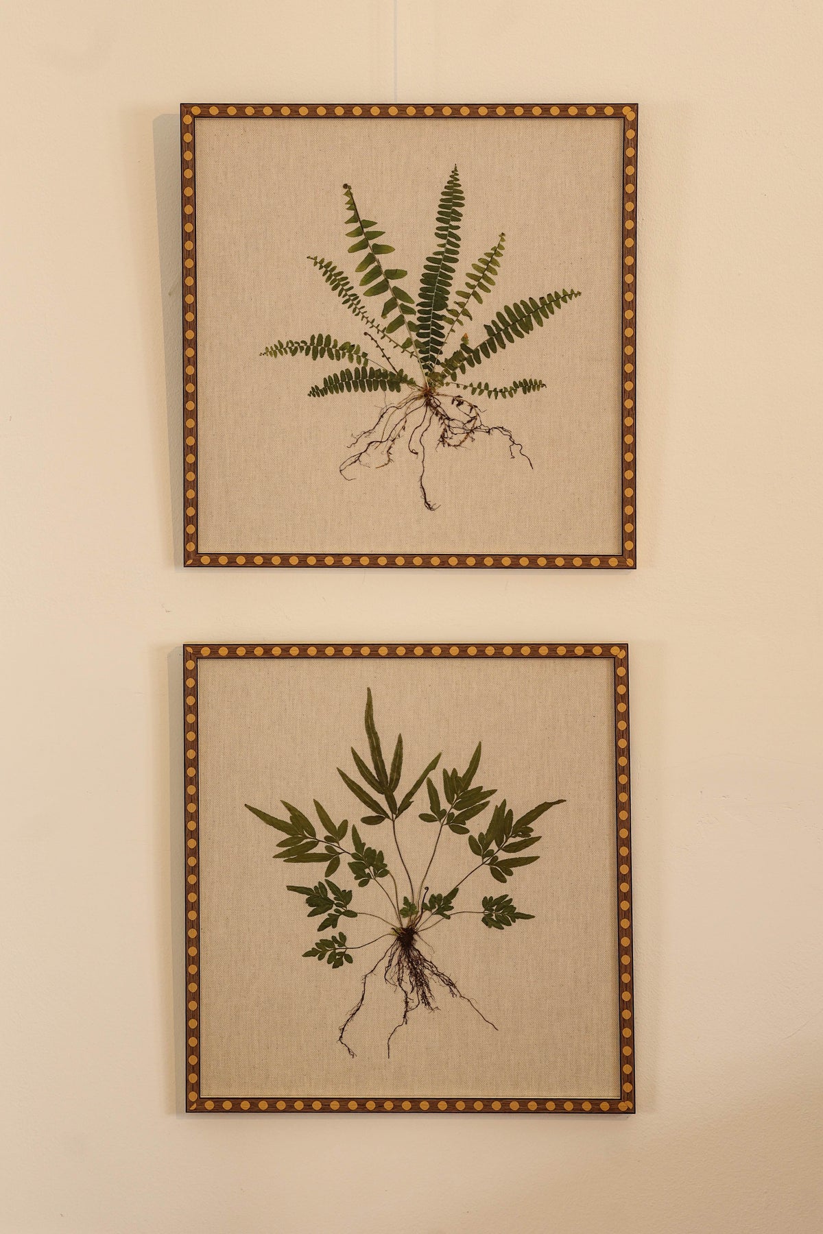 Fern I & Fern II by Jam Jar Edit