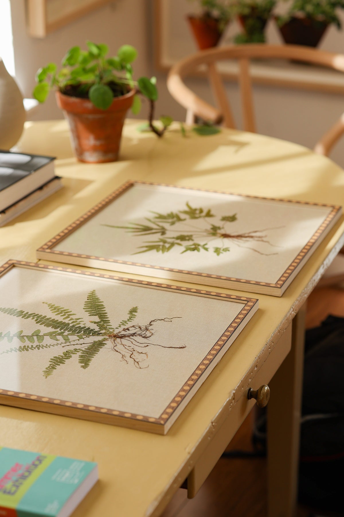 Fern I & Fern II by Jam Jar Edit