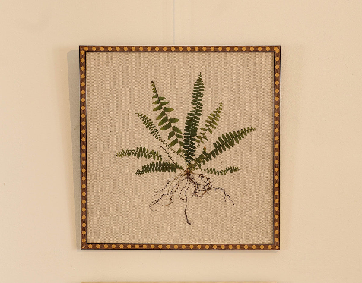 Fern I by Jam Jar Edit