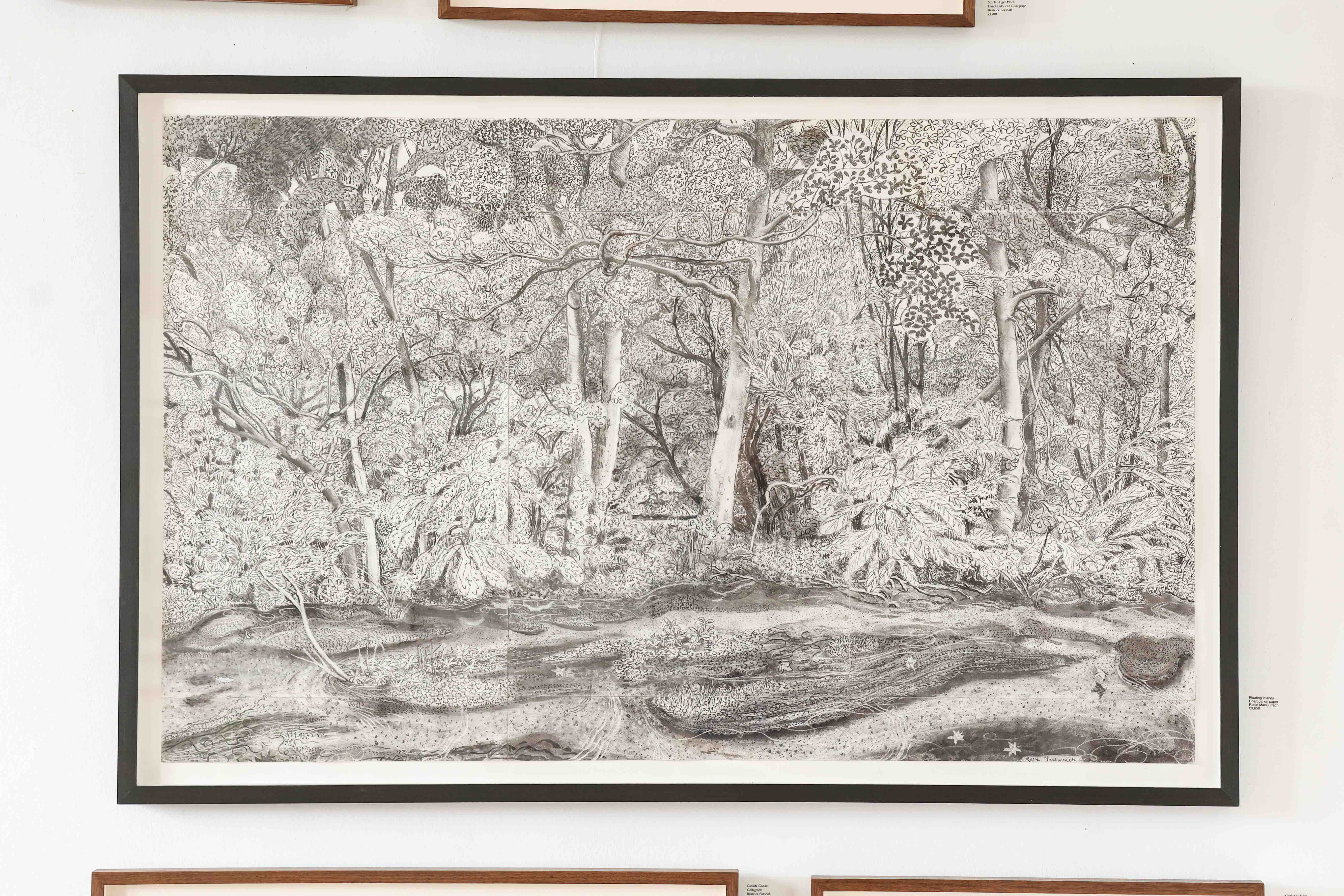 Floating Islands by Rosie MacCurrach