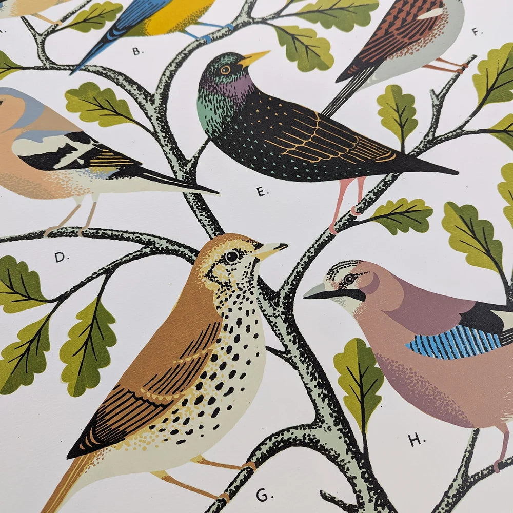 Garden Birds School Chart by Tom Frost