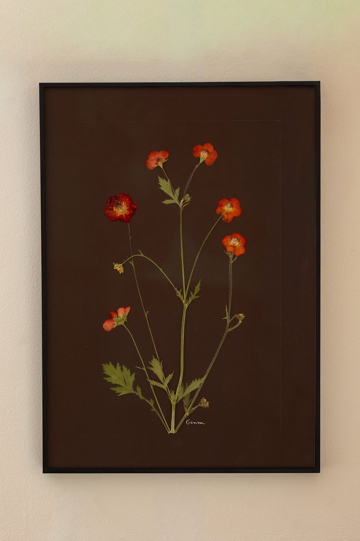 Geum by Jam Jar Edit