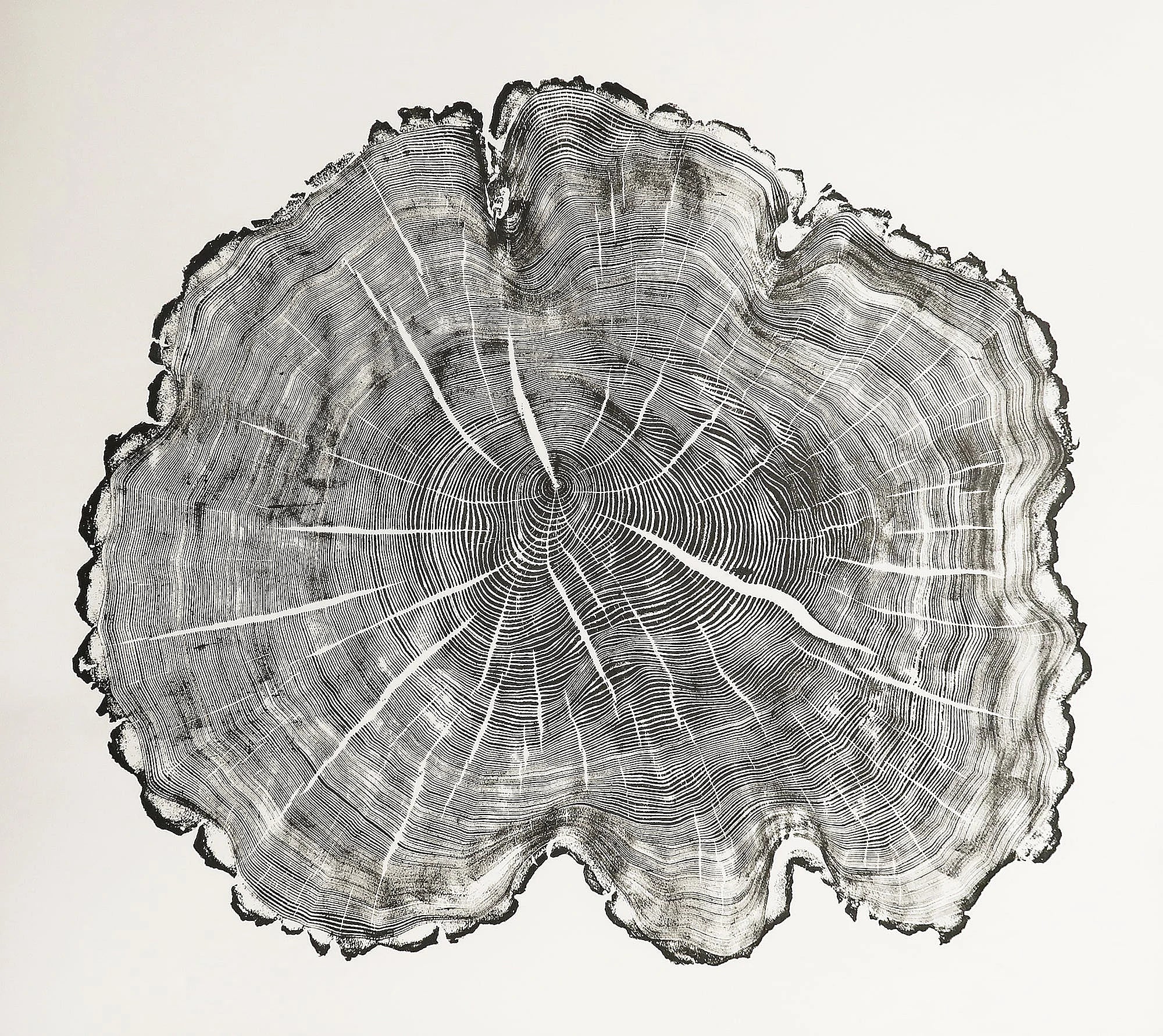 Grennan Ash by Alan Cameron