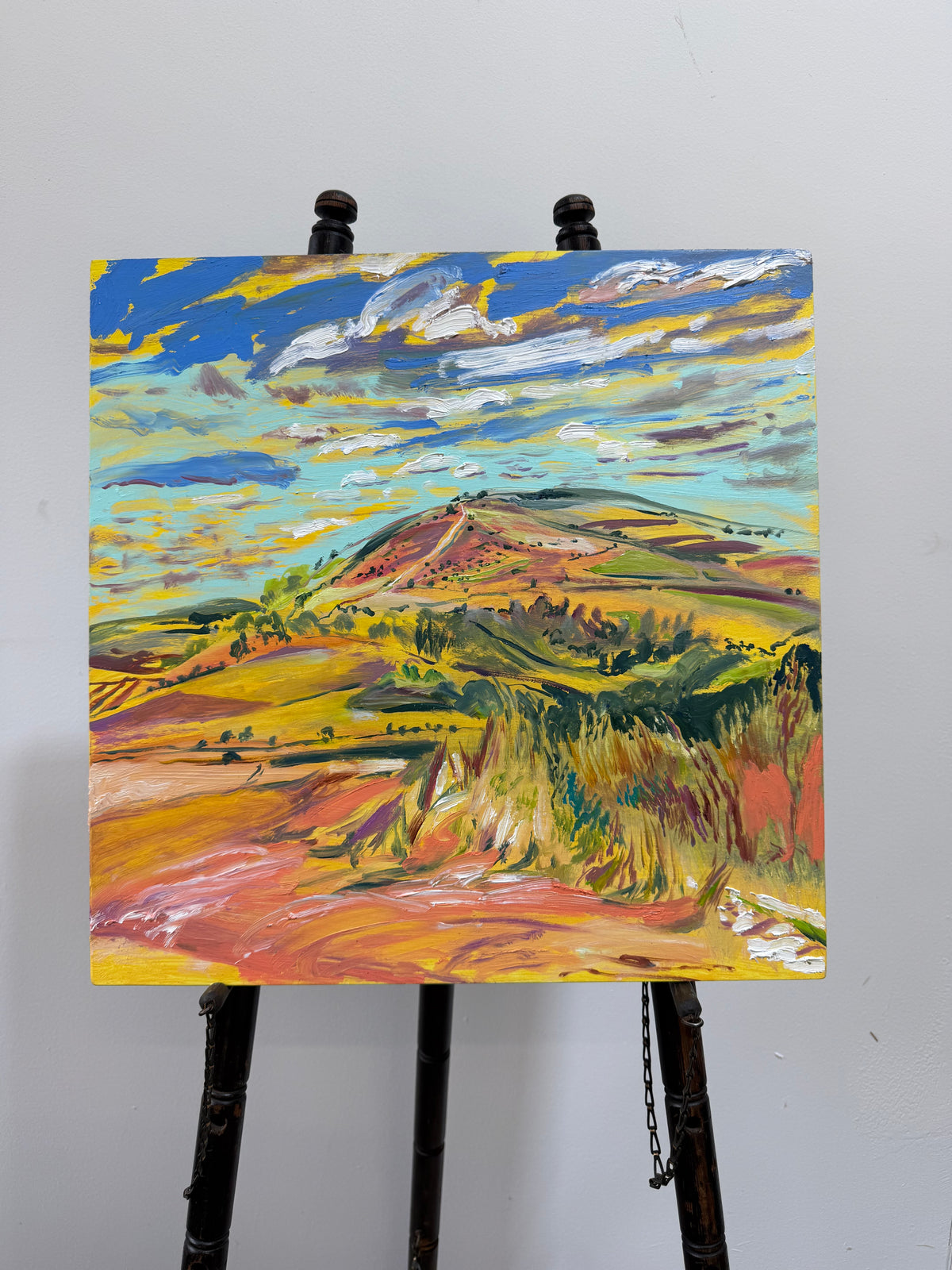 Heatwave at Amberley Mount by Hannah Rollings