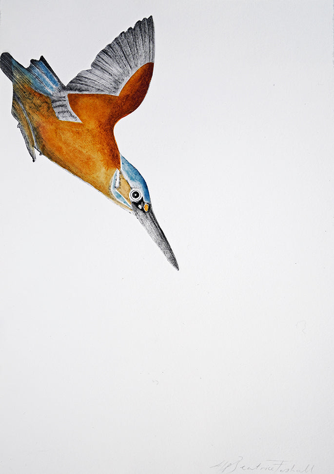 Kingfisher by Beatrice Forshall