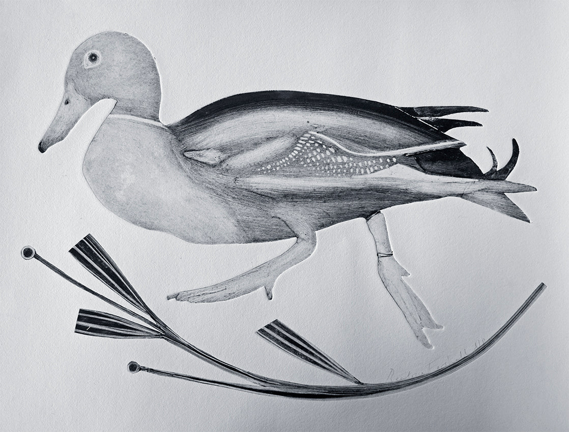 Mallard by Beatrice Forshall