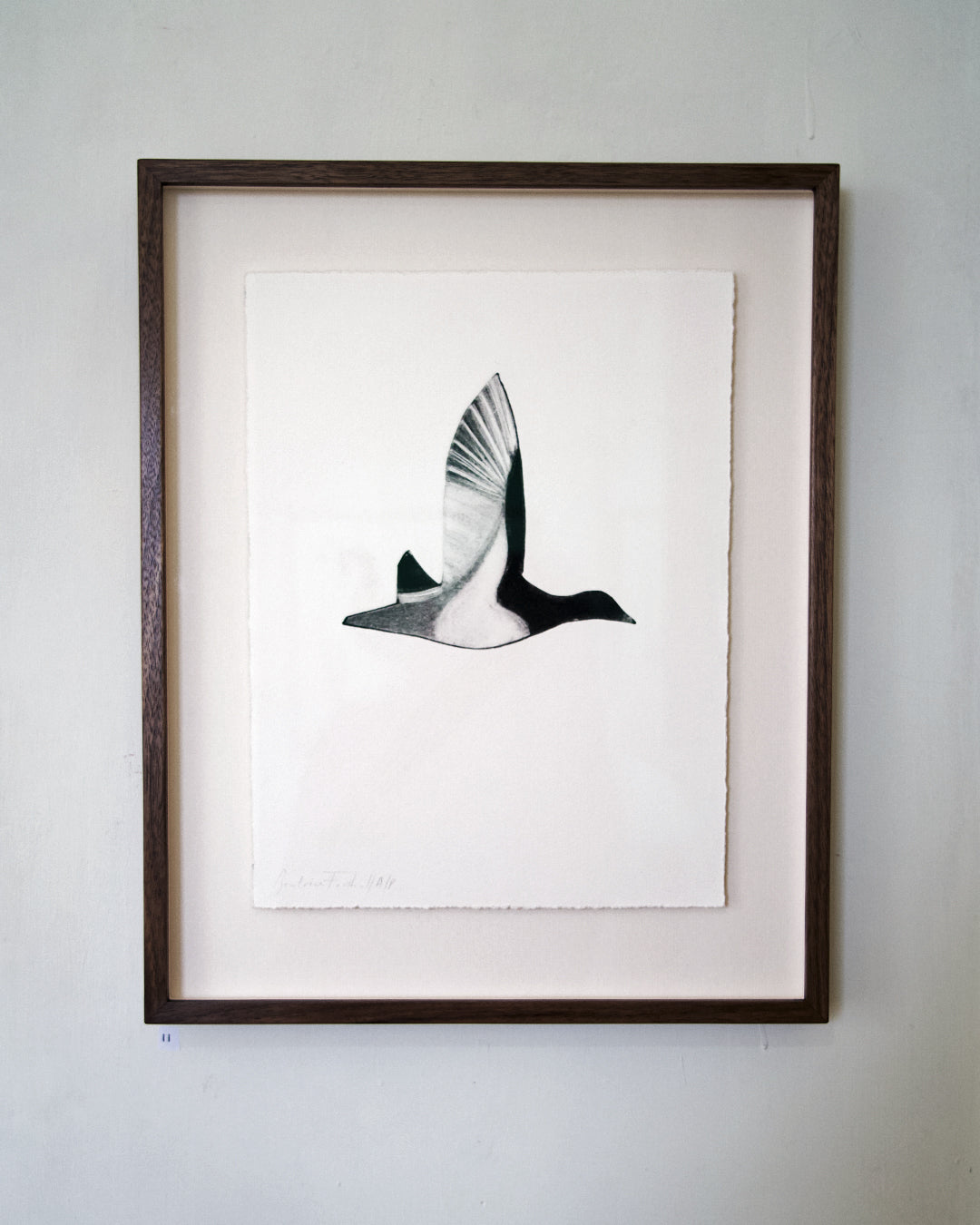 Framed artwork of a bird in flight on a white background by Beatrice Forshall