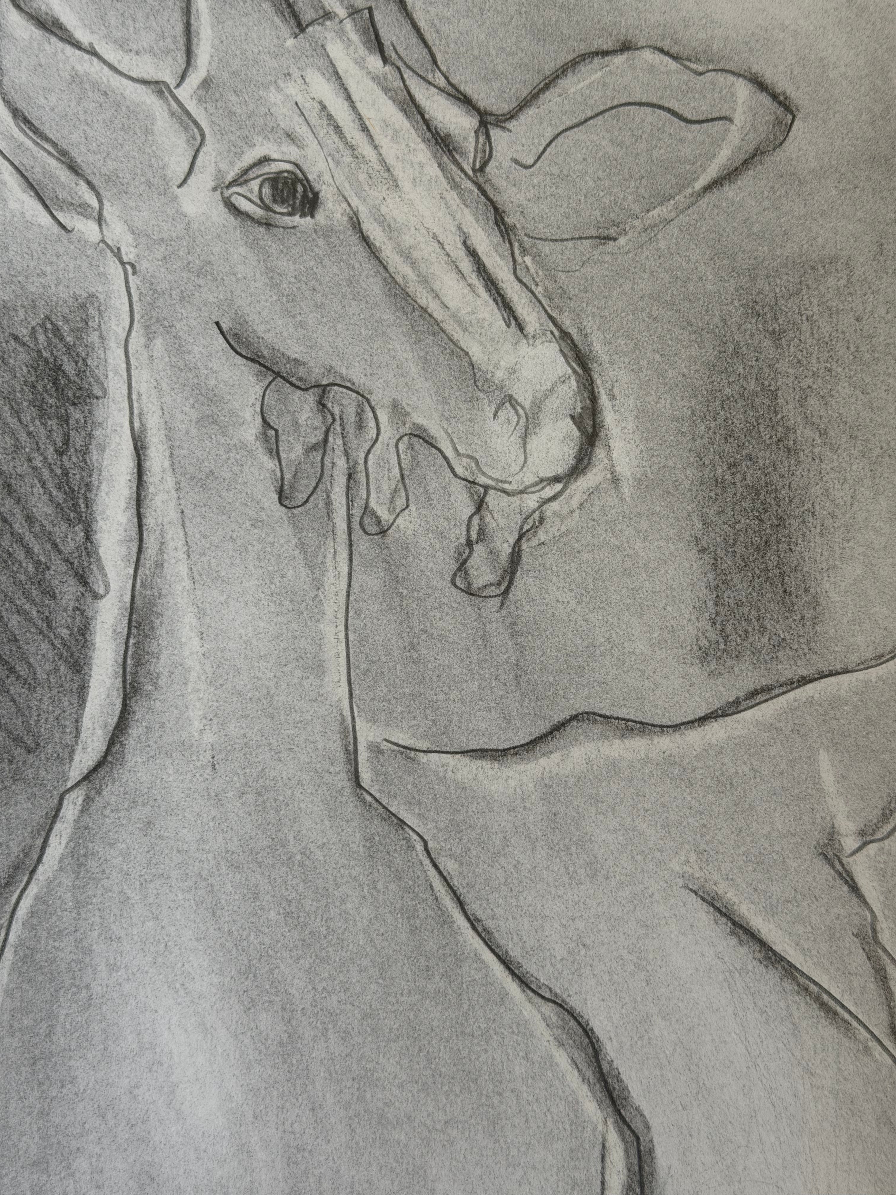 Posing Goat III by Ann Farley