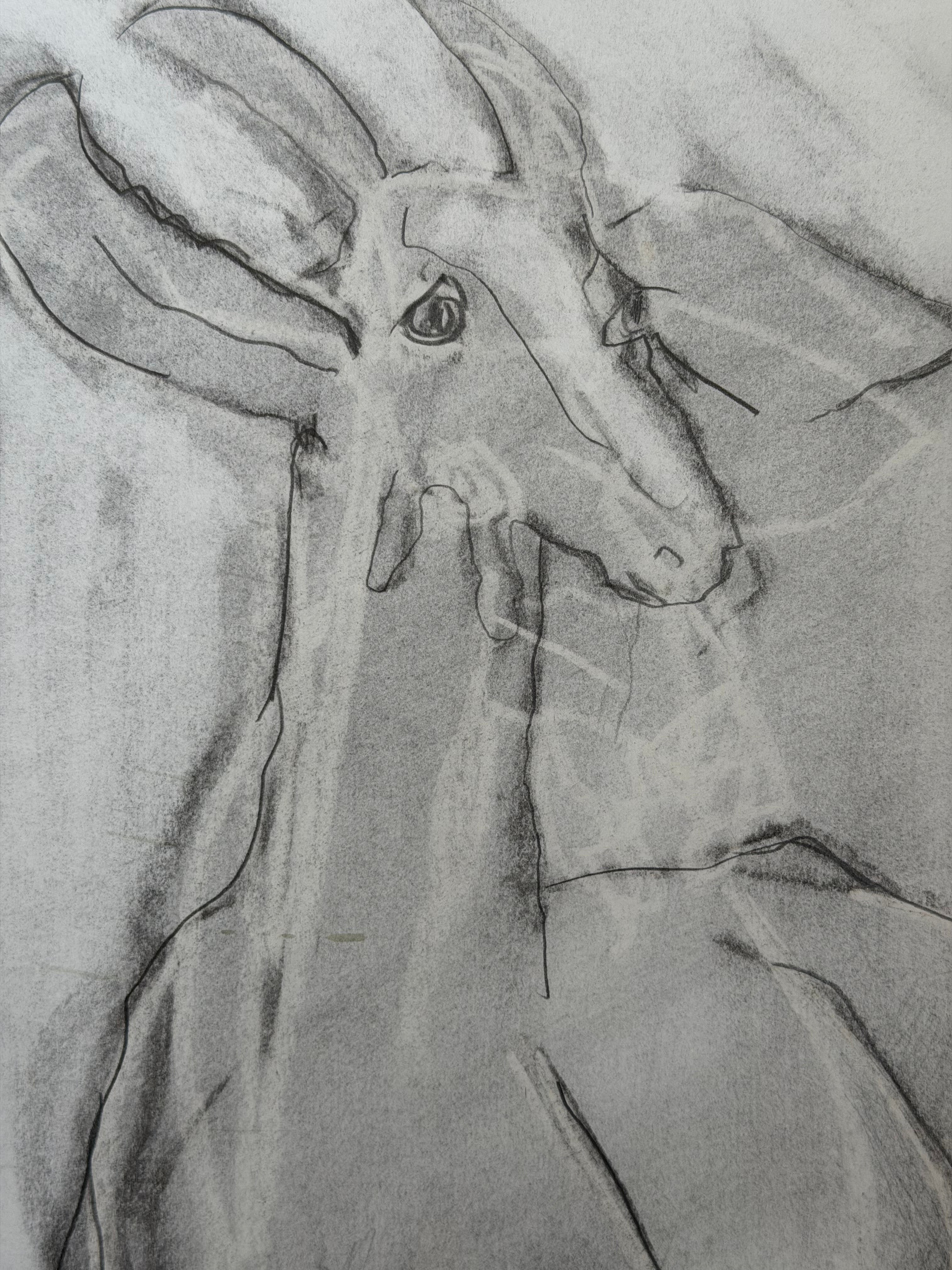 Posing Goat II by Ann Farley