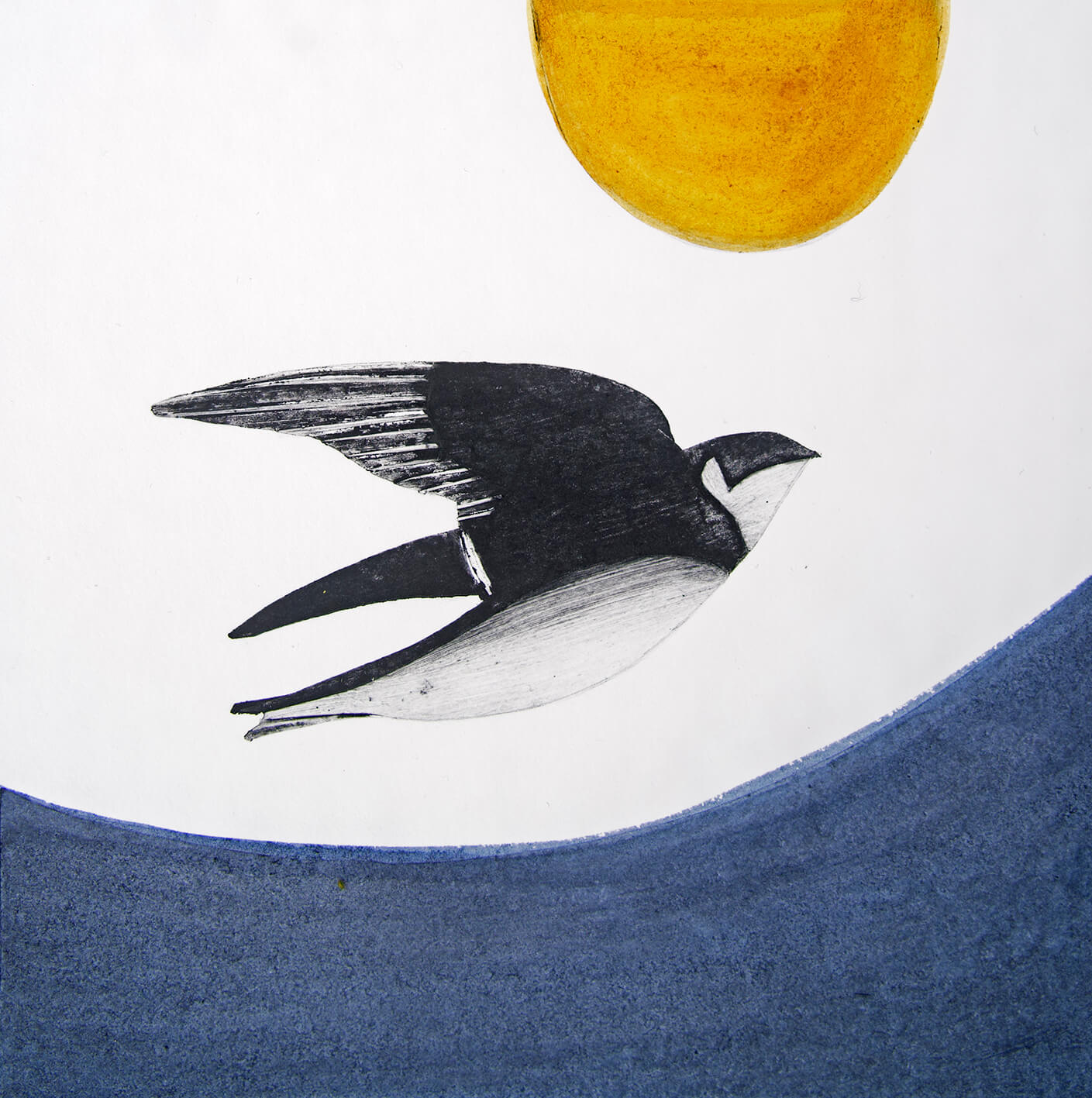 Sand MArtin by Beatrice Forshall