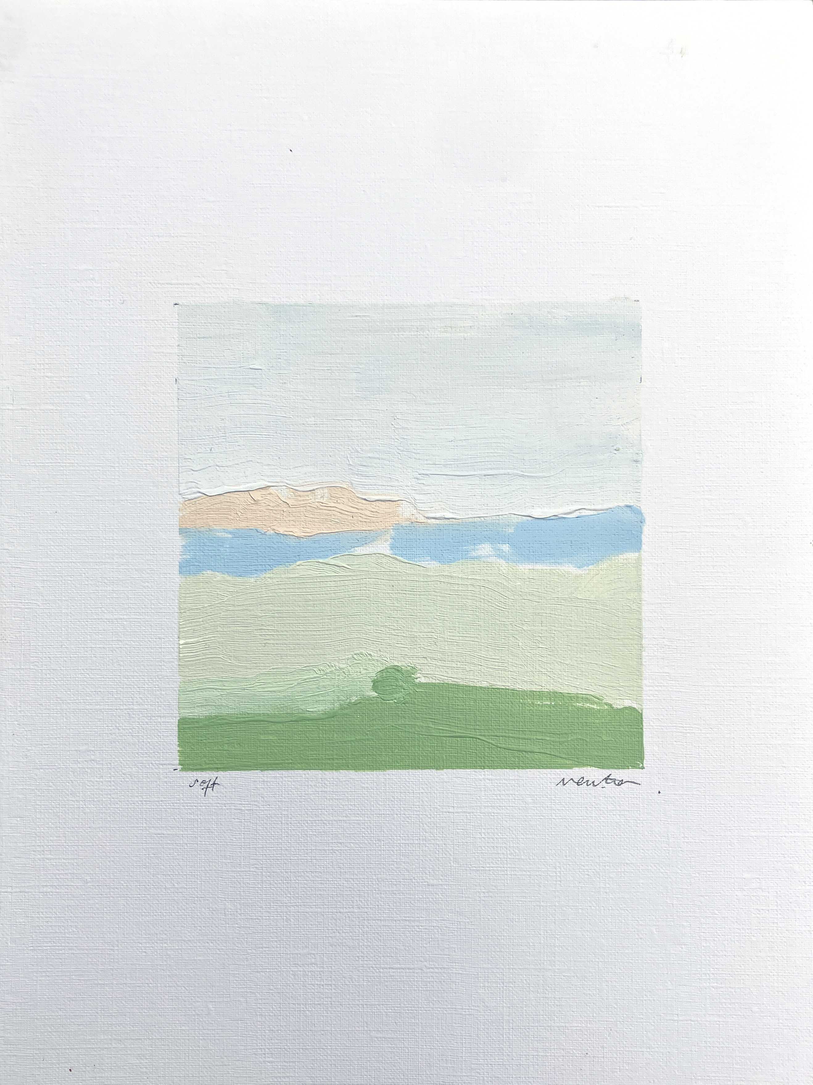 Soft by Sally Newton