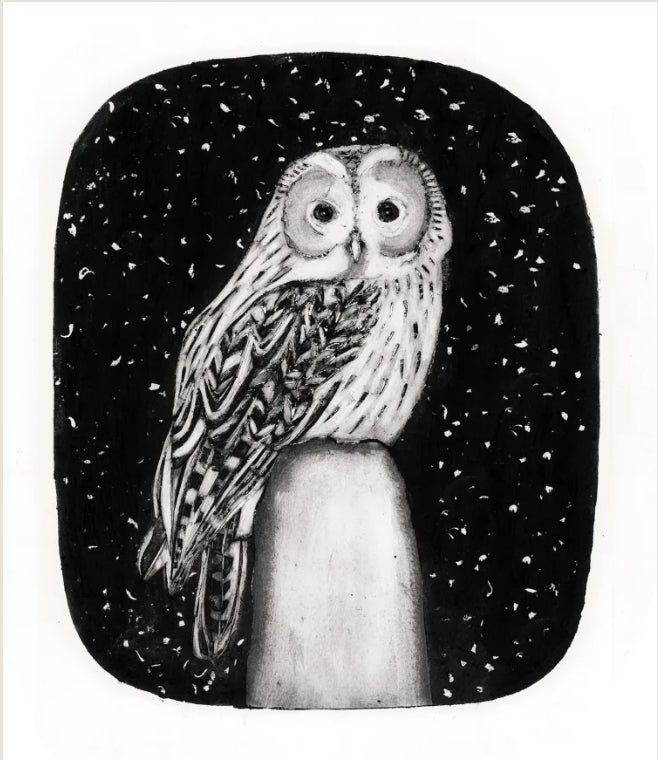 Tawny Owl by Beatrice Forshall