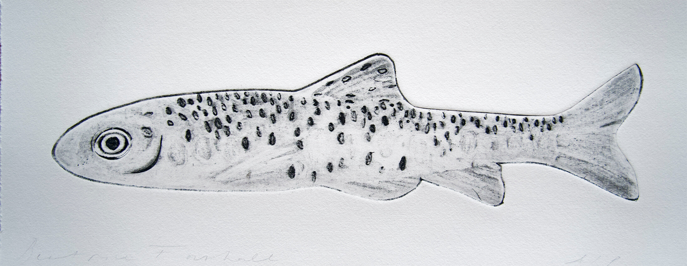 Trout by Beatrice Forshall