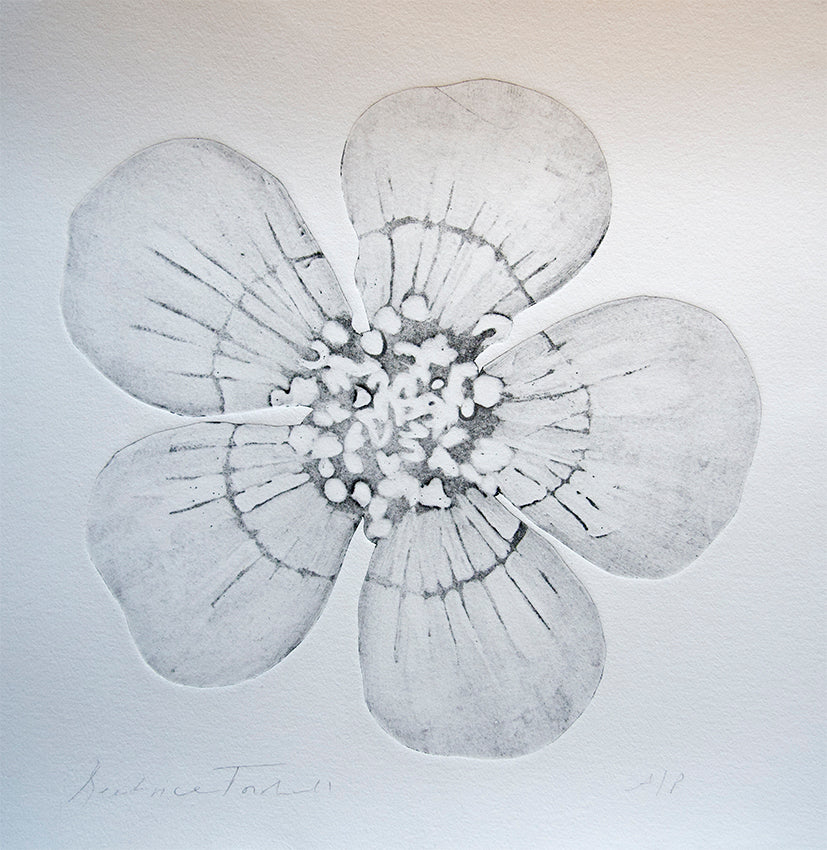 Water Crowfoot by Beatrice Forshall