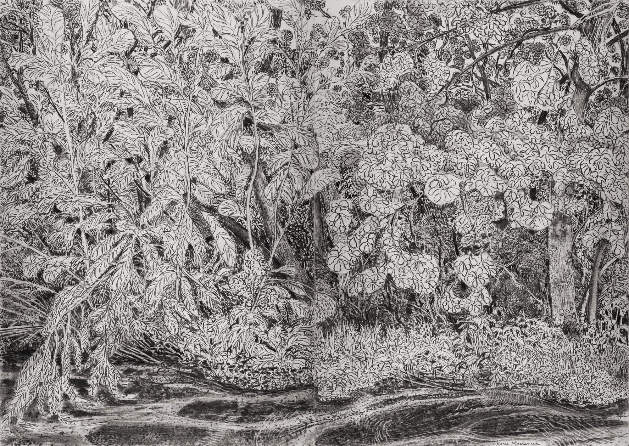 Water Forest by Rosie MacCurrach