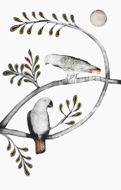 African Grey & Timneh Grey Parrots by Beatrice Forshall