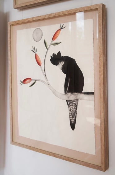 Glossy Black Cockatoo by Beatrice Forshall