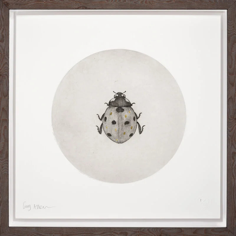 Framed print of a ladybird with gold by artist Guy Allen