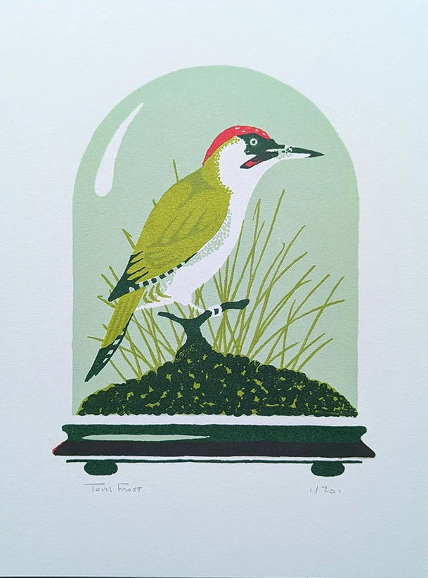 Green Woodpecker by Tom Frost