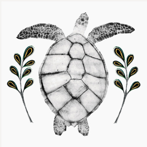 Hawksbill Turtle by Beatrice Forshall