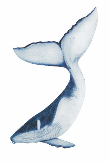 Humpback Whale by Beatrice Forshall
