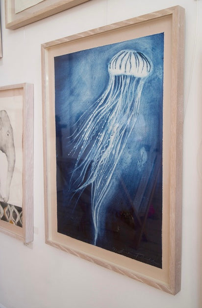 Jellyfish by Beatrice Forshall