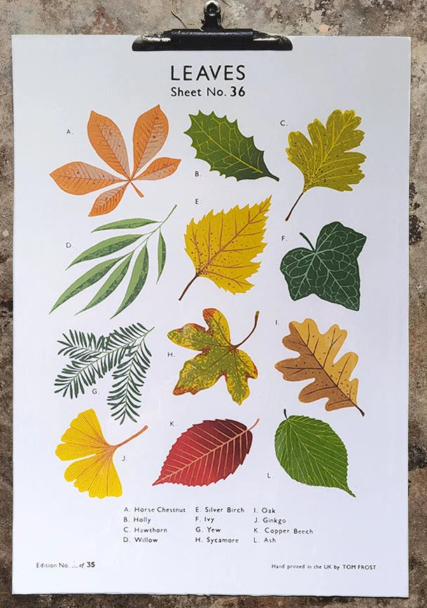 Leaves School Chart by Tom Frost