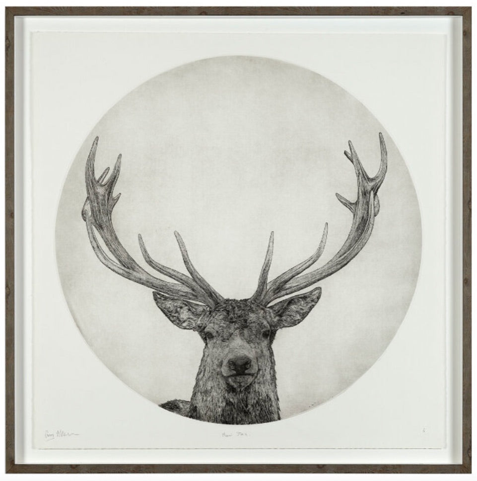 Moon Stag by Guy Allen