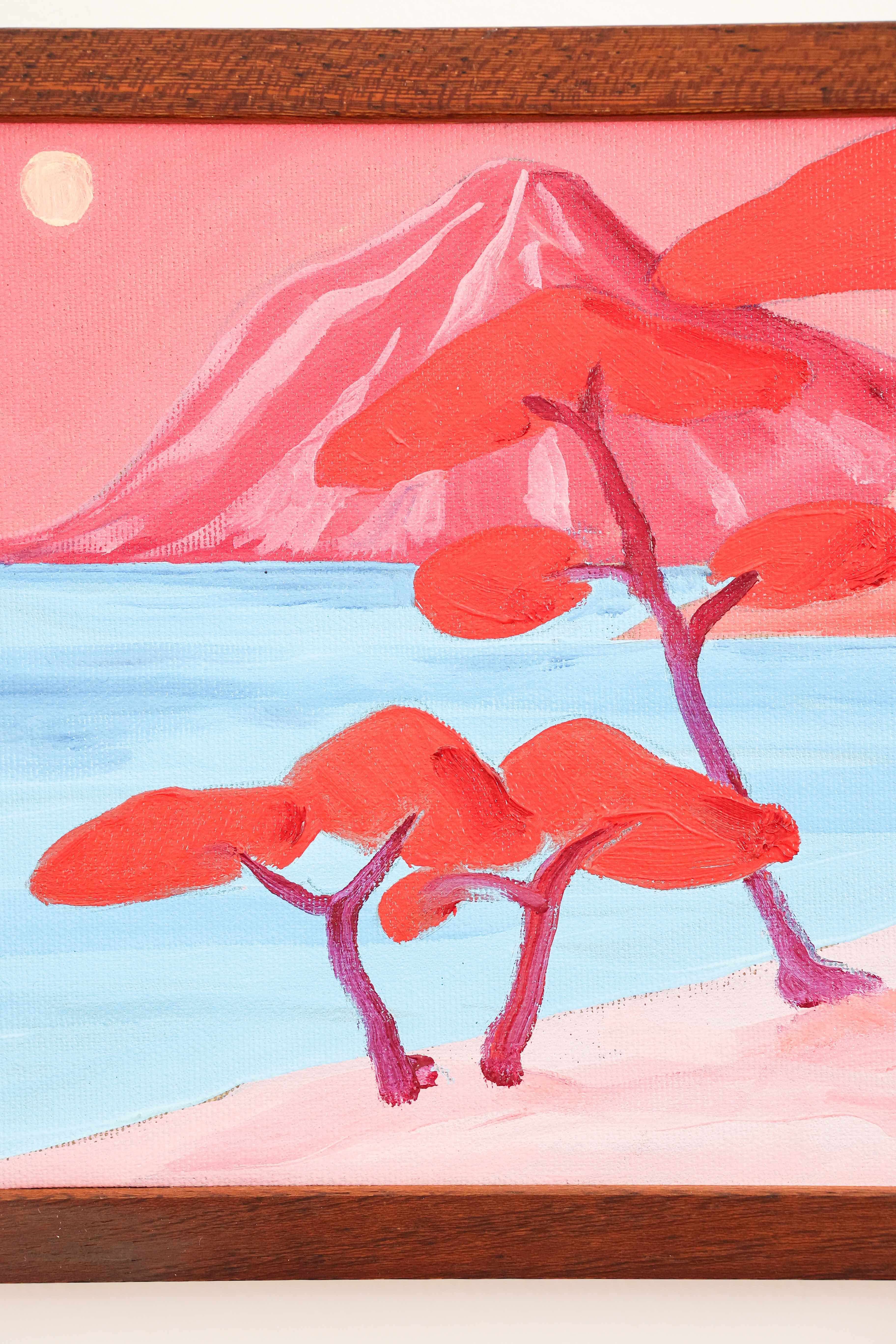 Pink Mountain by Catherine Cazalet