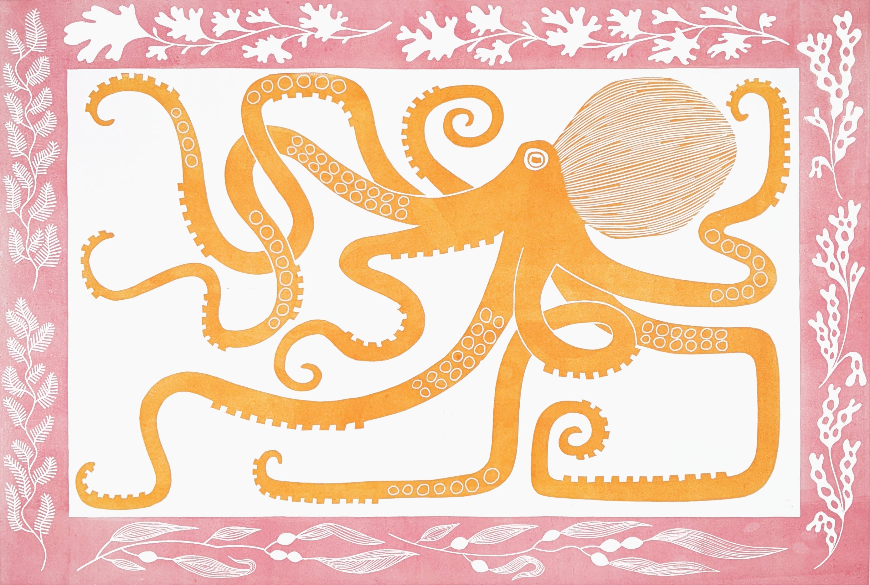 She Made Me Realise Just How Precious Wild Places Are by Lizzie Wheeler depicting an orange octopus illustration on a pink background with white seafoam border