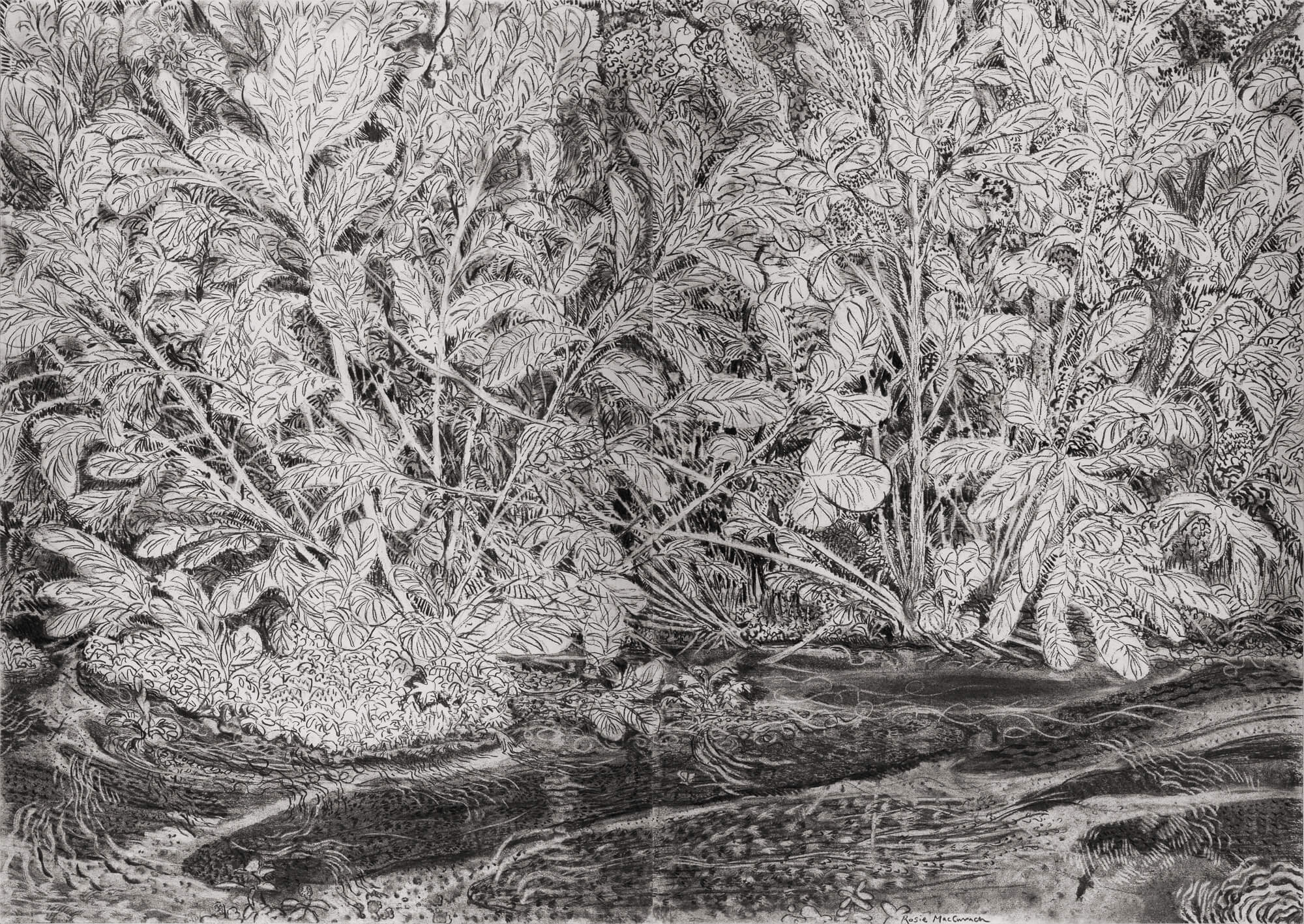 A Slice of Water and Sky by Rosie MacCurrach