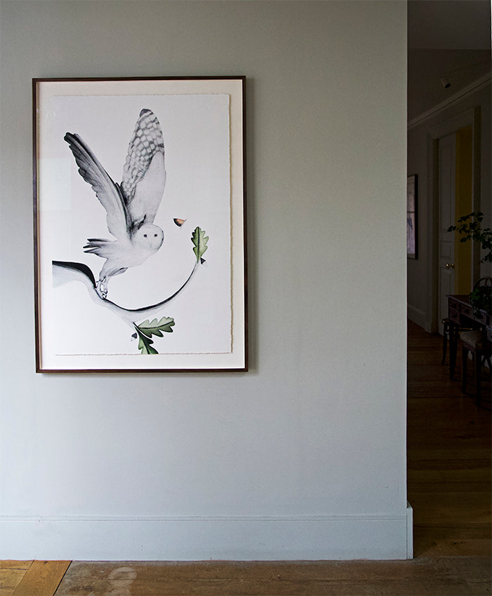 Barn Owl & Moth  by Beatrice Forshall