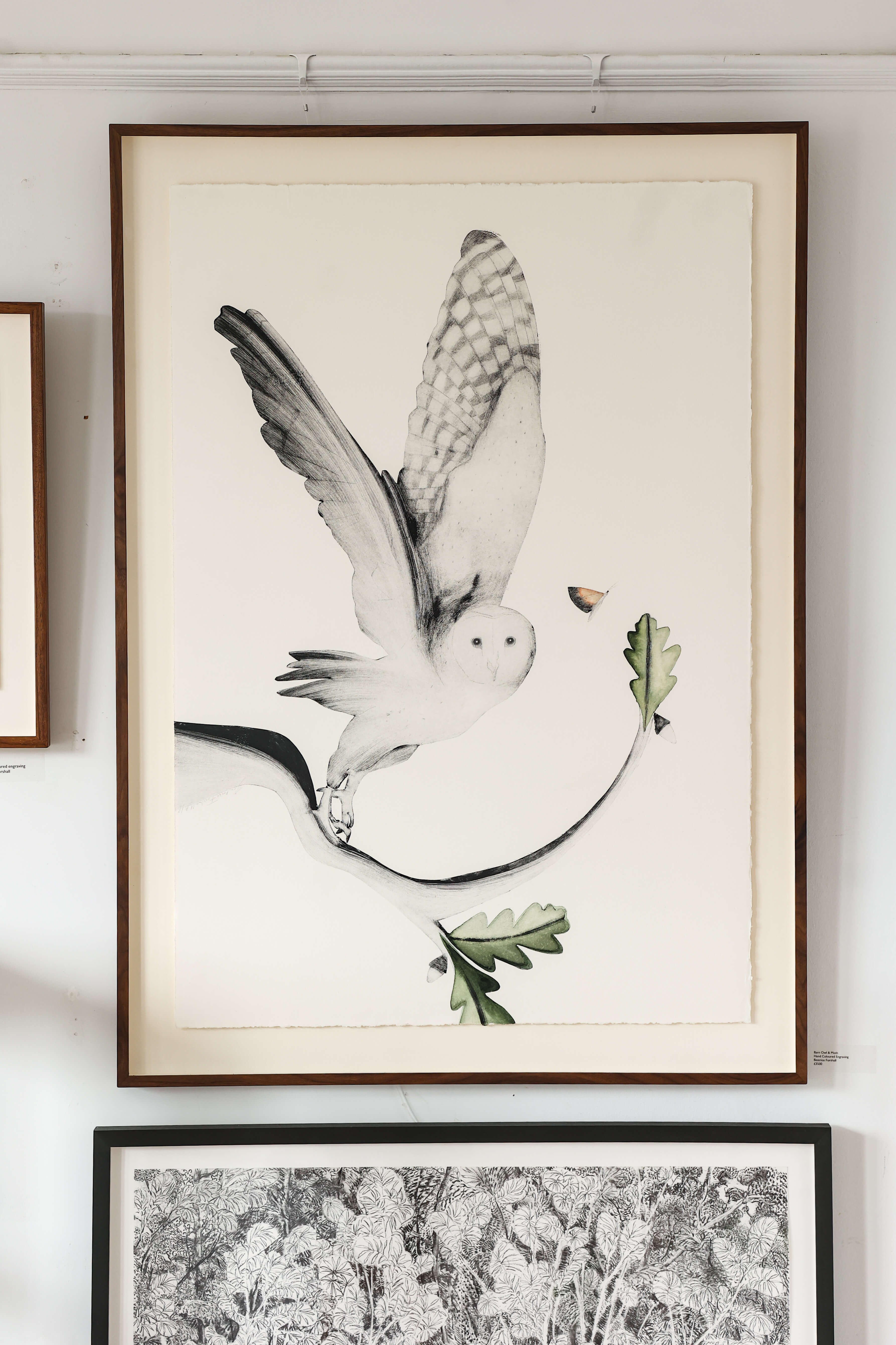 Barn Owl & Moth  by Beatrice Forshall