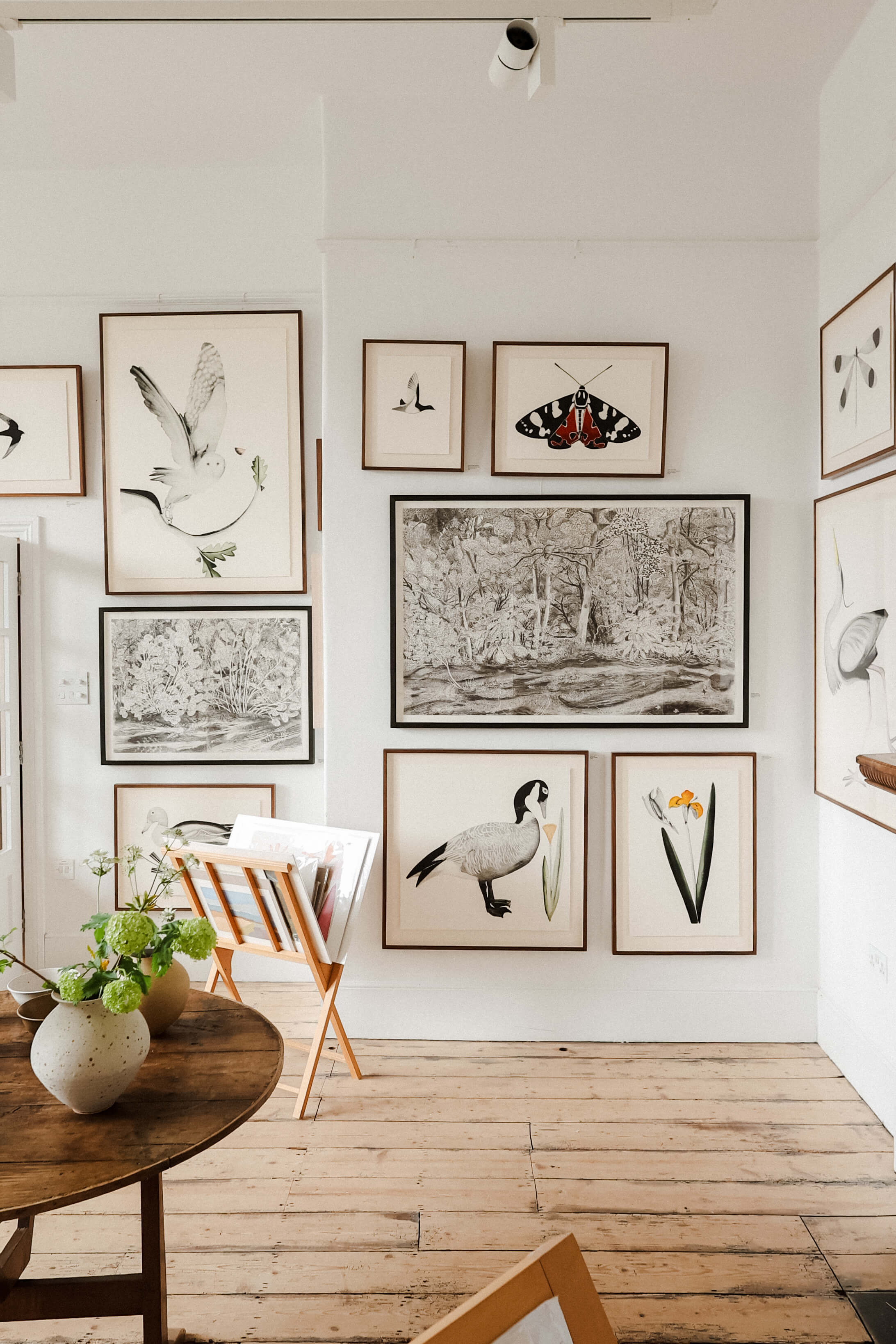 Canada Goose by Beatrice Forshall