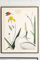 Chalk Stream by Beatrice Forshall 