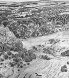 Coombe Land, Martinsell by Rosie MacCurrach