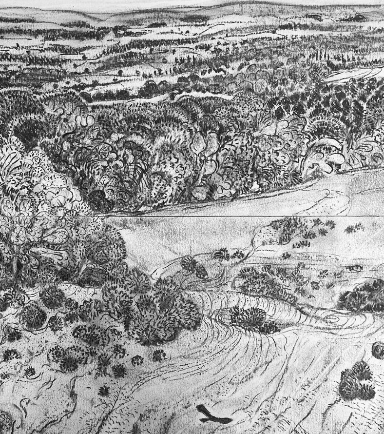 Coombe Land, Martinsell by Rosie MacCurrach