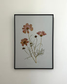 Cosmos by Jam Jar Edit