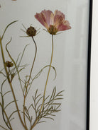 Cosmos by Jam Jar Edit