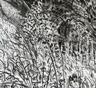 Crown of Brambles- Fosbury by Rosie MacCurrach