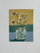 Daisies by Sally Newton