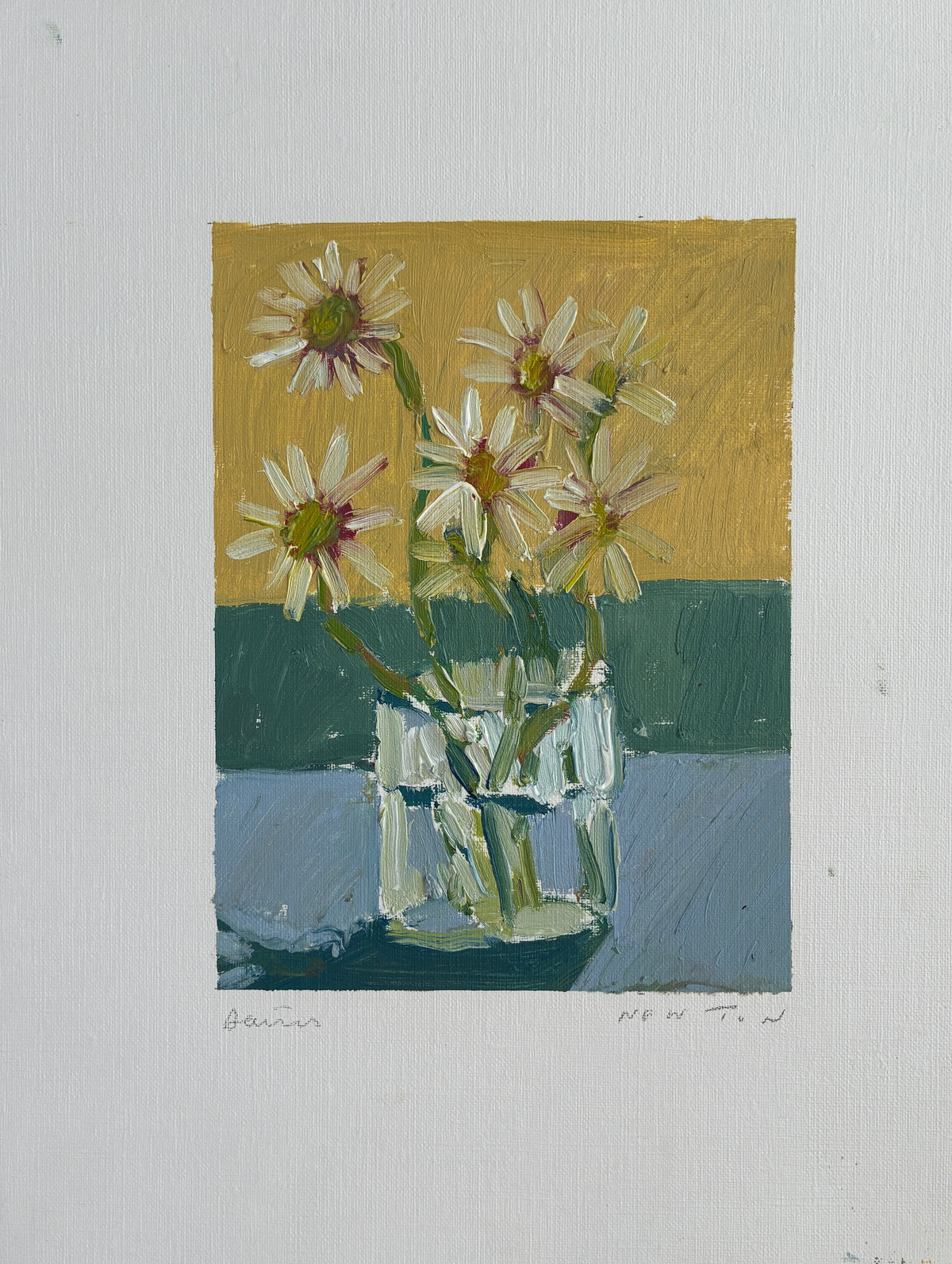 Daisies by Sally Newton