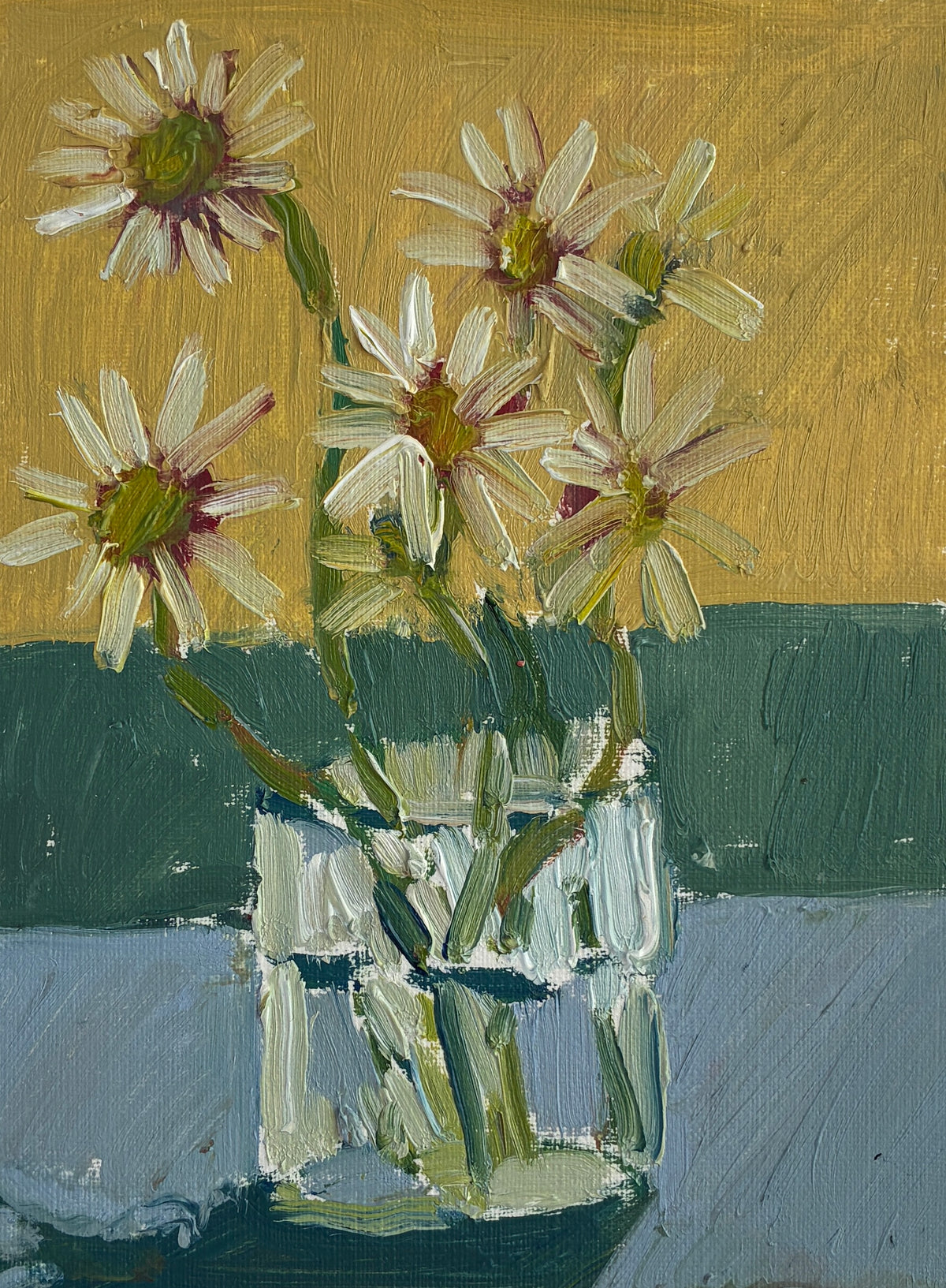 Daisies by Sally Newton