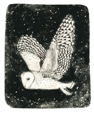 Dame Blanche by Beatrice Forshall