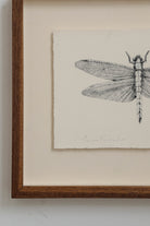 Dragonfly by Beatrice Forshall
